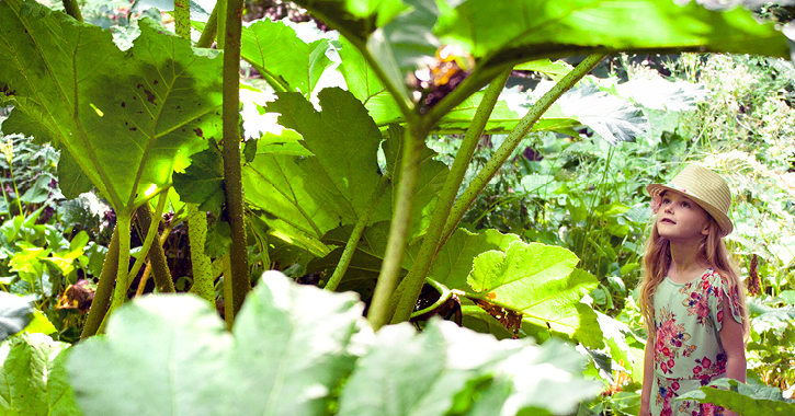 little girl surrounding by large plants in Durham University Botanic Garden